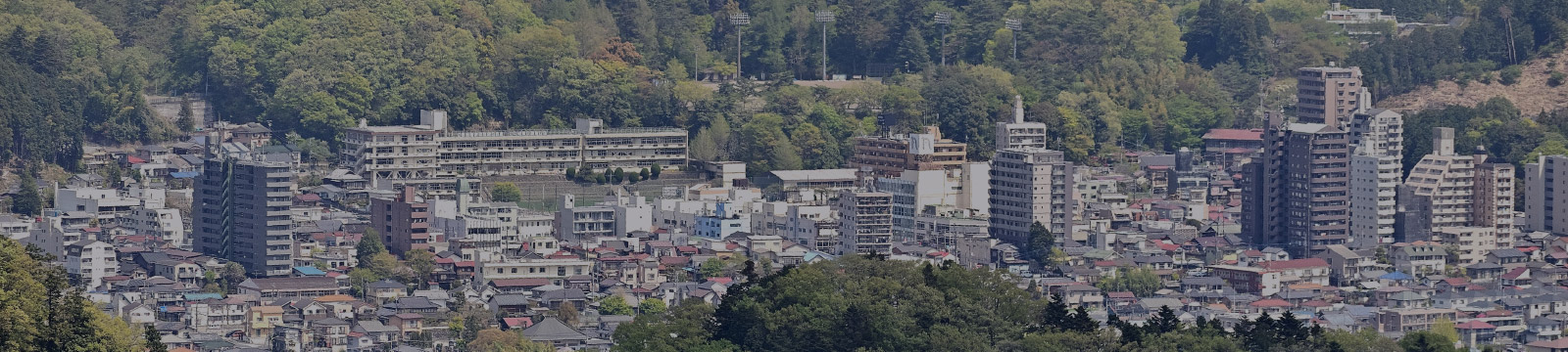 有限会社  タマ・ロジスティックス