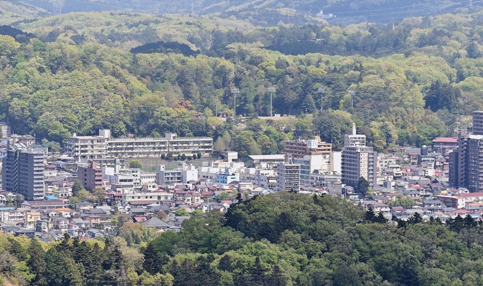 企業情報